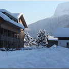 Bild -0469.jpg