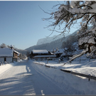 Bild -0474.jpg