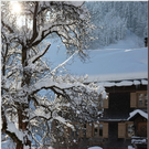 Bild -0475.jpg