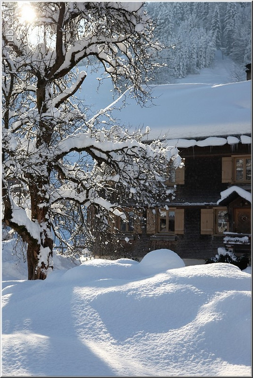 Bild -0475.jpg