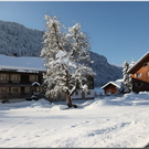 Bild -0480.jpg