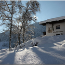 Bild -0484.jpg