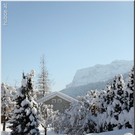 Bild -0490.jpg