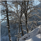 Bild -0501.jpg