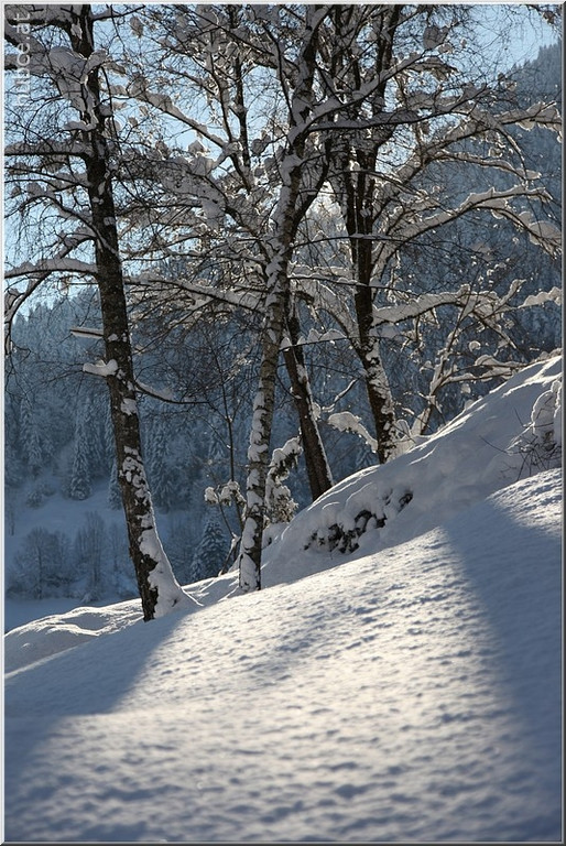 Bild -0501.jpg