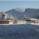 Bild -0502.jpg