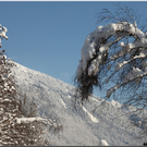 Bild -0520.jpg