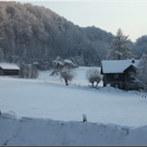 Bild -0011.jpg