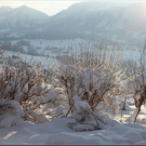 Bild -0018.jpg