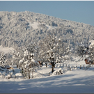 Bild -0035.jpg