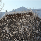 Bild -0040.jpg