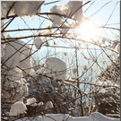 Bild -0041.jpg