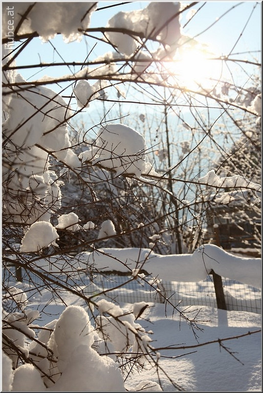 Bild -0041.jpg