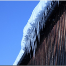 Bild -0052.jpg