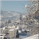 Bild -0097.jpg
