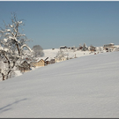 Bild -0101.jpg