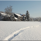 Bild -0114.jpg
