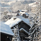 Bild -0118.jpg