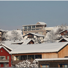 Bild -0121.jpg
