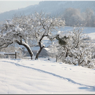 Bild -0133.jpg