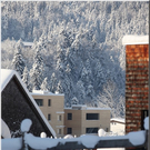 Bild -0172.jpg