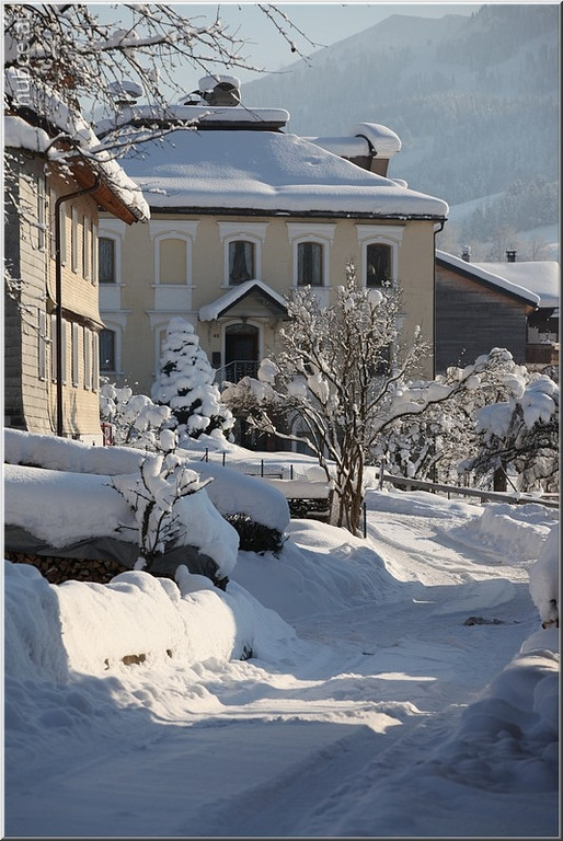 Bild -0197.jpg