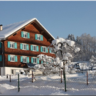 Bild -0203.jpg