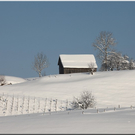Bild -0220.jpg