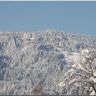 Bild -0238.jpg