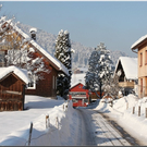 Bild -0240.jpg