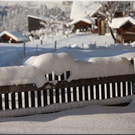 Bild -0256.jpg