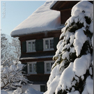 Bild -0292.jpg