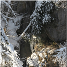 Bild -0309.jpg