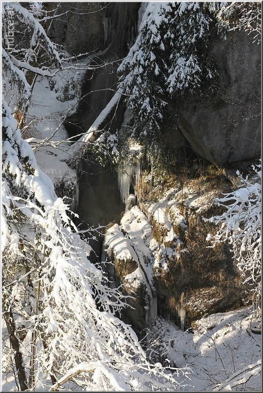 Bild -0309.jpg