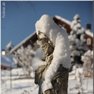 Bild -0320.jpg