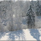 Bild -0345.jpg