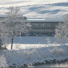 Bild -0346.jpg
