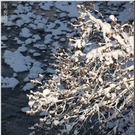 Bild -0372.jpg