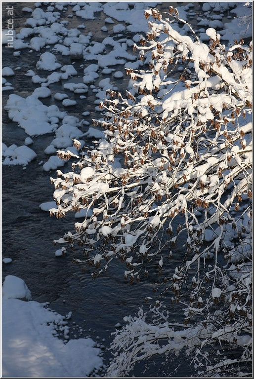 Bild -0372.jpg