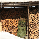 Bild -0385.jpg