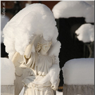 Bild -0417.jpg