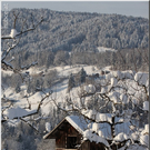 Bild -0877.jpg