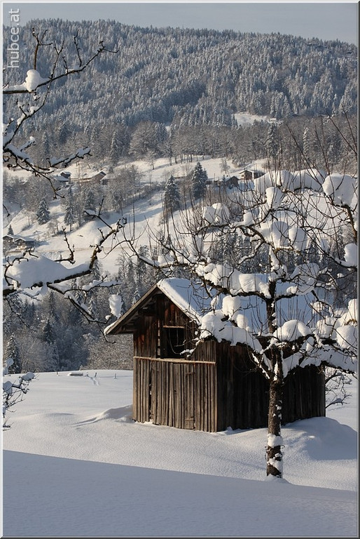Bild -0877.jpg
