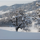 Bild -0878.jpg