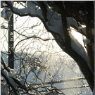 Bild -0906.jpg