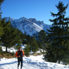 DSCF1440 - Kopie.JPG