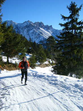 DSCF1440 - Kopie.JPG