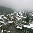 BK_weihnachtsbasilika 19_jpg-1293999733