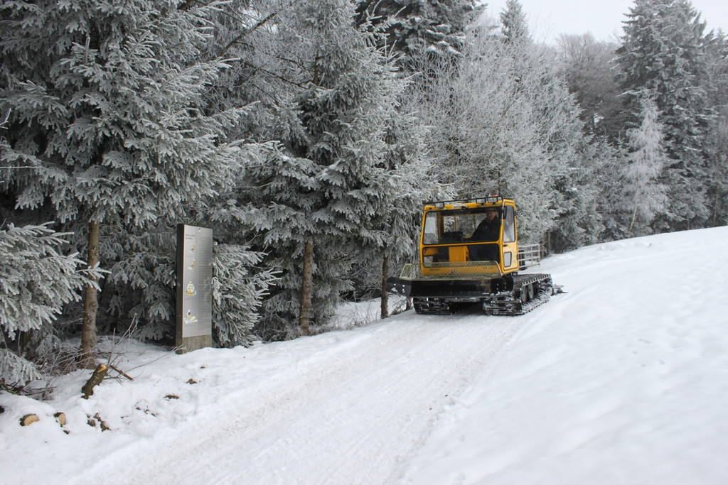 Winterwanderweg Pf__nderregion 2011 _3__jpg-1294046949