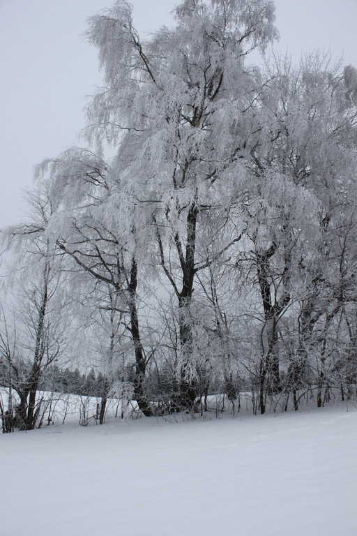 Winterwanderweg Pf__nderregion 2011 _11__jpg-1294047160